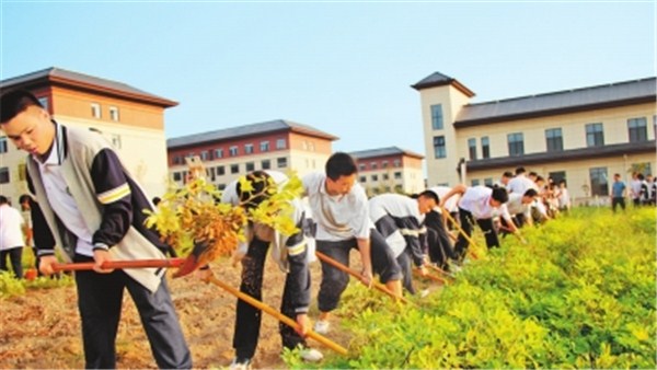 新時(shí)代 新征程 新偉業(yè)·豫見“三秋”丨校園喜迎“豐收