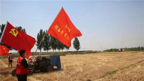  河南麥?zhǔn)招聢D景丨金色麥浪里的一抹紅，原陽600余名黨員